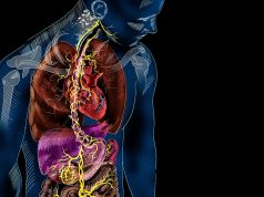 Your gut is directly connected to your brain